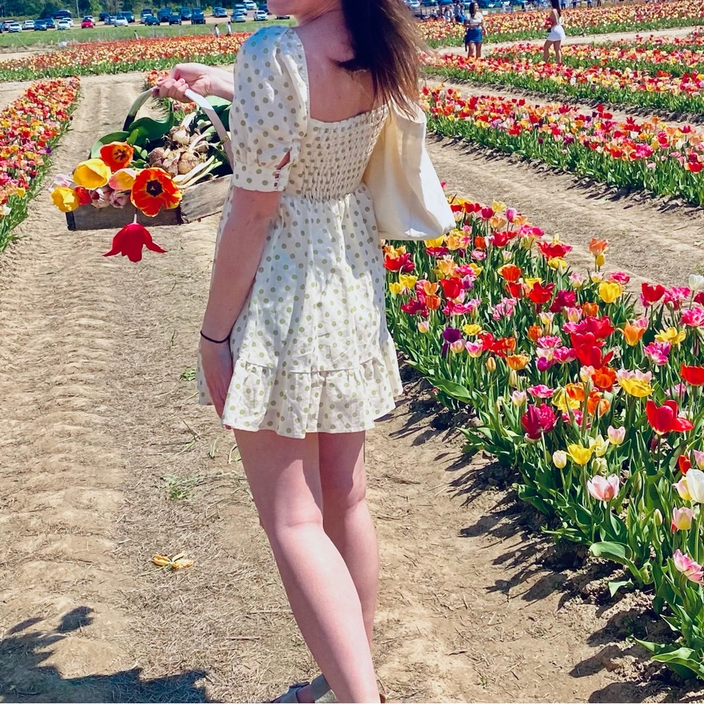 Charlie Holiday Polka Dot Mini Dress